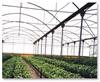 【供应】农业温室大棚用PC阳光板、PC空心板